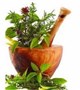 کارگاه آشنایی با گیاهان دارویی و طب ایرانی