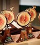 چهاردهمین کنگره بین المللی پزشکی تولید مثل